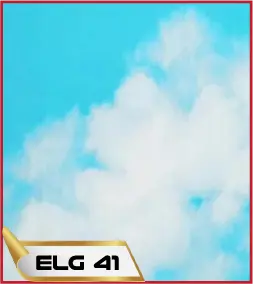 ELG 41